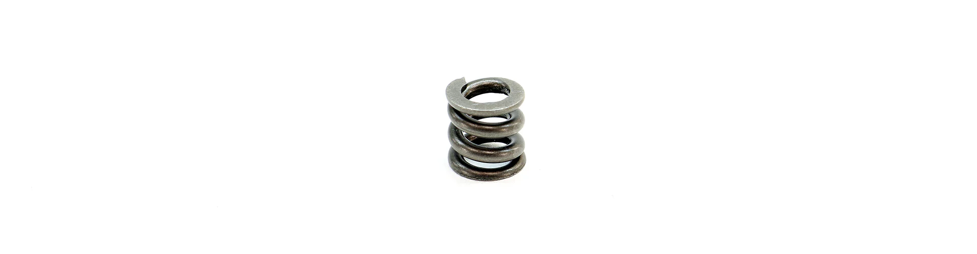 Micro Reg, UGS and CGS Spring